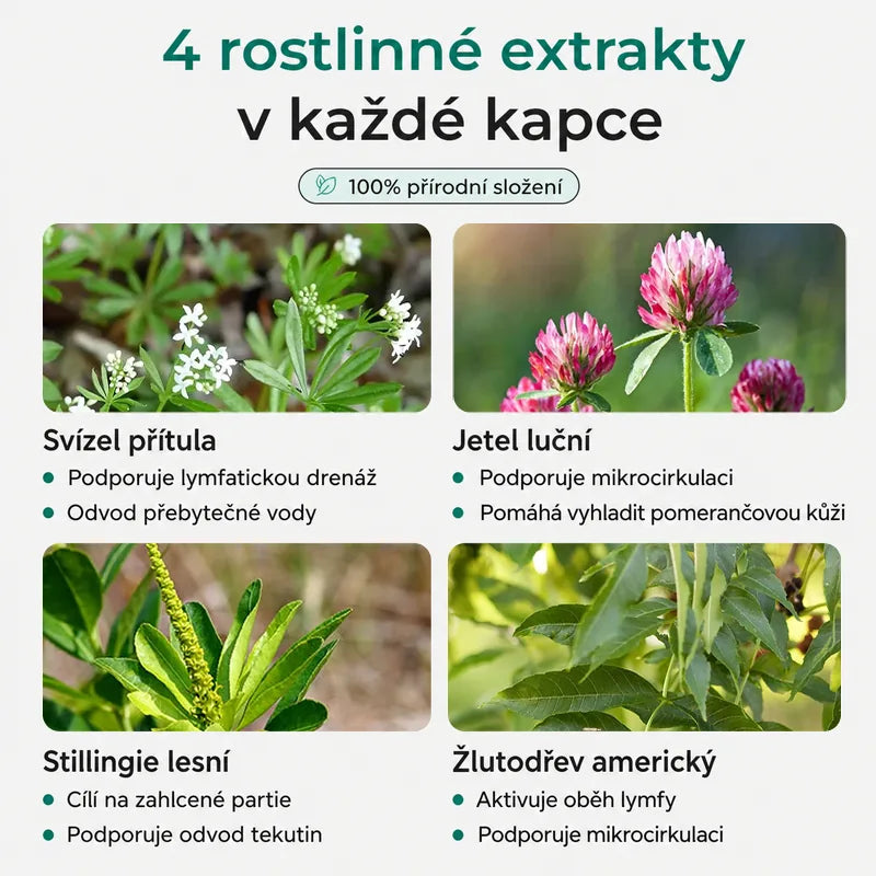 Lymfatická drenáž Oliviaro