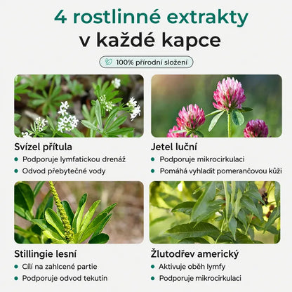 Lymfatická drenáž Oliviaro